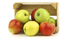 تفاحة يومياً تقي من داء «الرئوي الانسدادي»