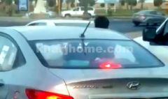 “المرور” يستدعي سائقاً سمح لطفل مرافق له بالخروج من نافذة السيارة