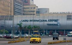 سلطات مطار القاهرة تضبط راكبا حاول تهريب ثعابين حية إلى الرياض