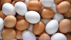 تعرف على الفرق بين البيض البني والأبيض