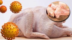 الصين تكتشف آثار “كورونا” في دجاج مجمد قادم من البرازيل