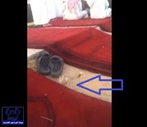 بالفيديو.. جربوع في مصلى العيد بإحدى محافظات الرياض