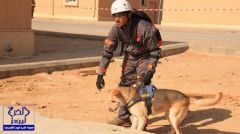 لأول مرة.. الكلاب البوليسية تُشارك في عمليات تأمين الحج