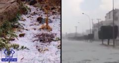 بالفيديو.. الثلوج تكسو الهدا بالأبيض بعد يوم شديد البرودة