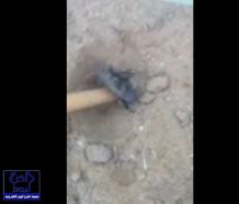 بالفيديو.. راقٍ شرعي يستخرج سحراً مدفوناً من حديقة عامة في صامطة