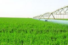 وزير الزراعة: إيقاف زراعة الأعلاف الخضراء يوفر 8 مليارات متر مكعب من المياه سنوياً