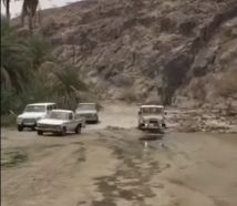 بالفيديو.. شبان يسابقون مياه سيل وادي حوران بمركباتهم