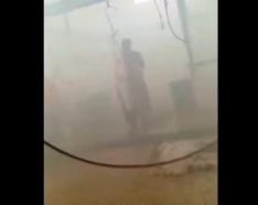 بالفيديو.. أمانة الشرقية تباشر رش عمال لمسلخ بالمبيدات الحشرية
