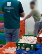 بالفيديو.. ضبط عمالة مخالفة تذيب الدجاج المجمد الفاسد وتبيعه على أنه مبرد بالقطيف