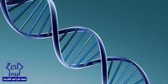 العلماء يكتشفون «عقدة» بالـ«DNA» تحدد موعد الوفاة