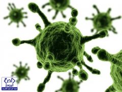 إصابة العشرات بفيروس غامض في “بيش”.. و”الصحة” تتكتم