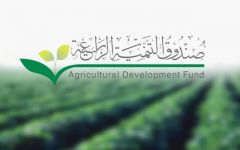 الصندوق الزراعي يساهم في تمويل برامج التنمية الريفية بـ3 مليارات ريال