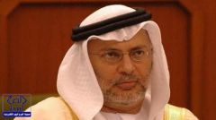 وزير إماراتي يحذر من حملة ضد السعودية ويدعو للتصدي لها