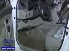بالفيديو.. شاهد ما تم ضبطه في سيارة إنتحاري نجران