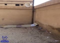 بالفيديو.. مواطن يوثق تحويل مُصلّى العيد بمنفوحة الجديدة لـ”وكر خمور”