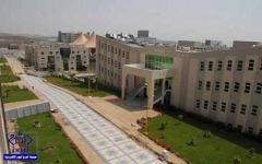 جامعة الملك خالد تطلق “محرك بحث” يوفر 100 ألف وظيفة