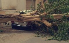 بالفيديو والصور.. ما تسببت به الرياح القوية في جدة