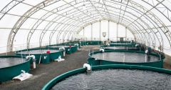 “نظام تتبع” لتصدير منتجات الأحياء المائية