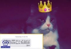 شاب يبيع قط صديقه بـ35 ألفاً عبر “سناب شات” ويثير جدلاً على “تويتر”