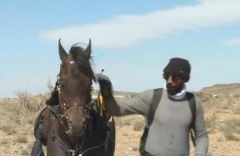 بالفيديو : شابان في بللسمر يقطعان 200 كيلومتر على الخيل لتجربة معاناة الماضي