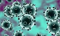 ترتبط بشدة العدوى.. اكتشاف 6 أنواع لفيروس “كورونا” بعد تحليل الأعراض
