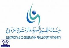 هيئة تنظيم الكهرباء والإنتاج المزدوج بالتعاون مع المركز السعودي لكفاءة الطاقة تجمع بيانات استهلاك الطاقة في المباني الحكومية