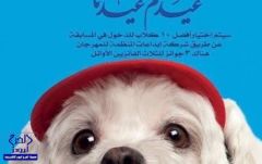 “إمارة مكة”: لن نسمح بإقامة مسابقة “أجمل كلب” في جدة