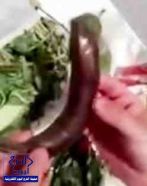 بالفيديو.. مواطن يرصد وضع مواد غذائية فاسدة ومتعفنة بثلاجة مخصصة لفائض الطعام