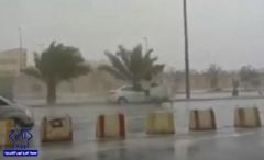 بالفيديو.. سيارة ترتطم بحاوية نفايات كبيرة بعد أن دفعتها الرياح القوية إلى وسط الشارع