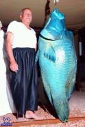 بالصورة.. سمكة بطول الإنسان وتزن 58 كيلو جراماً من أعماق سواحل تبوك