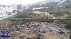 بالفيديو والصور.. أمطار غزيرة تغرق الشوارع وتجرف السيارات بالطائف
