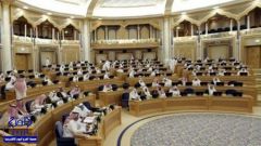 “الشورى” يتراجع عن قراره بإنشاء “المجلس الأعلى للثقافة”